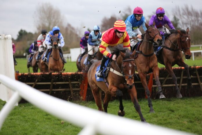 Which horses have a strong chance of going back-to-back at the Cheltenham Festival in 2023